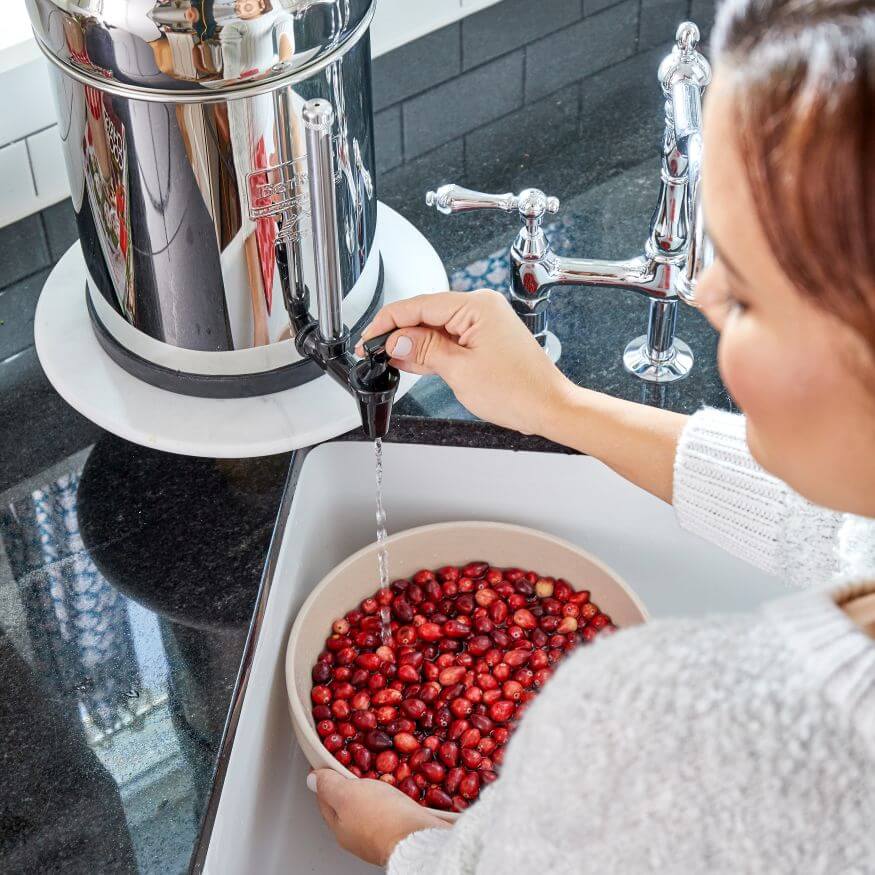 vodní filtr i do domácnosti